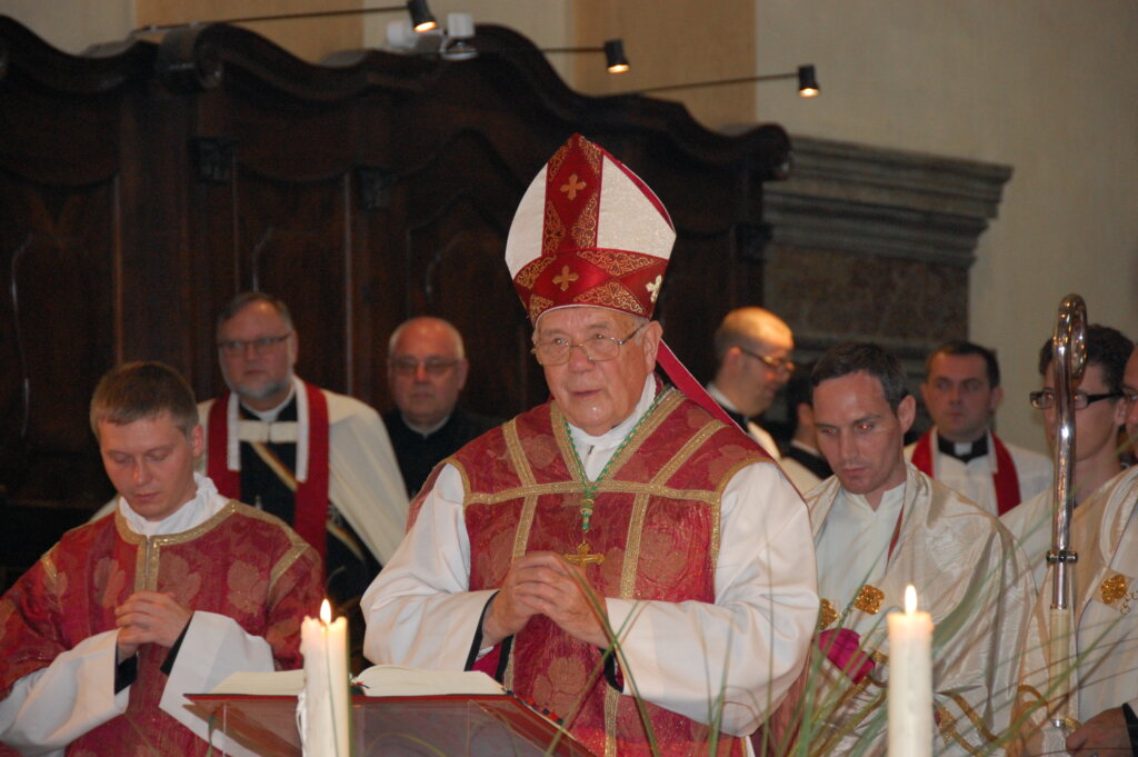 Bischof Maximilian bei der Diakonenweihe von P. Elija.